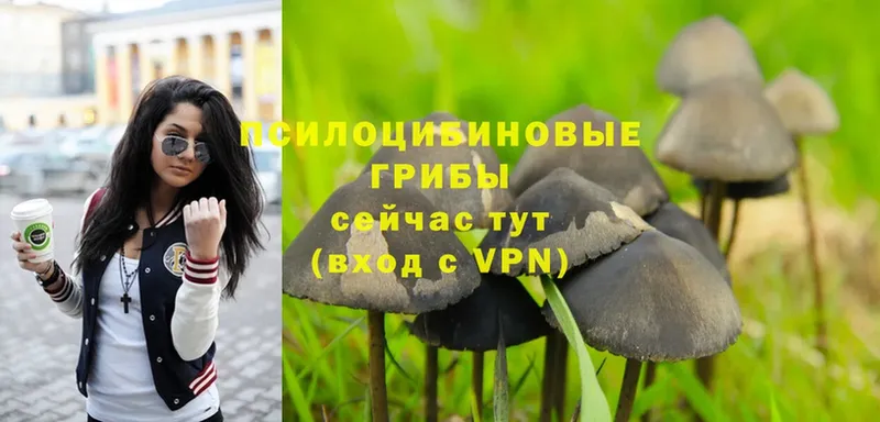 Галлюциногенные грибы Magic Shrooms  OMG вход  Руза 